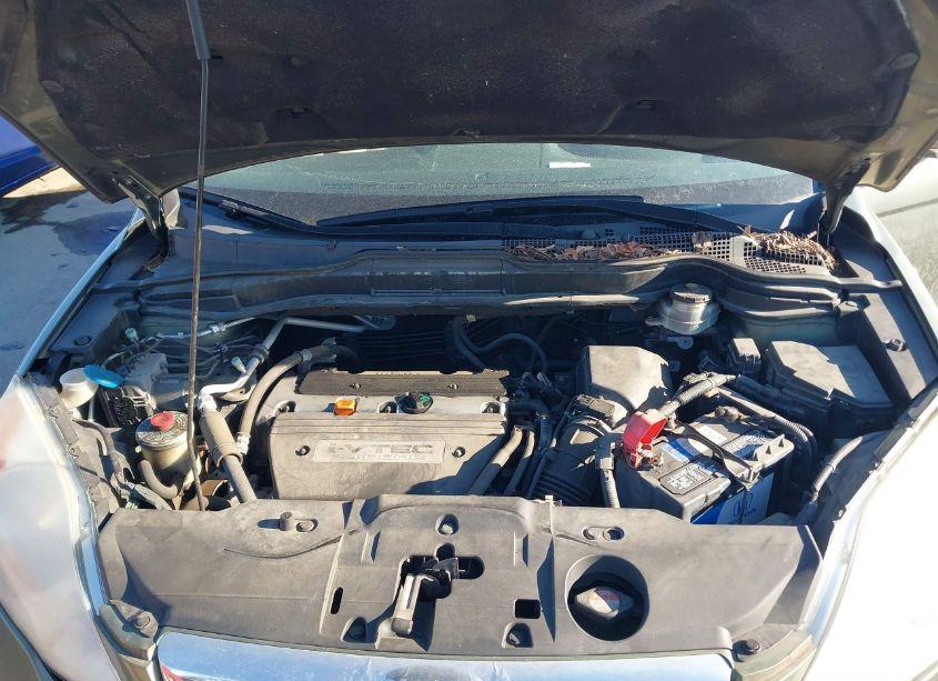 Photo 10 of 2009 Honda Cr-v EX-L (VIN 5J6RE48739L019374)