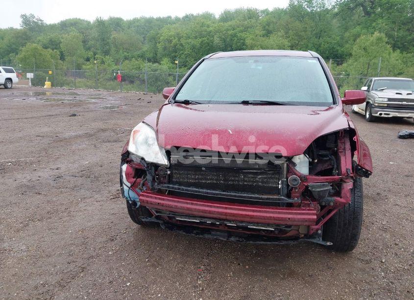 Photo 13 of 2009 Honda Cr-v EX-L (VIN 5J6RE48739L051421)