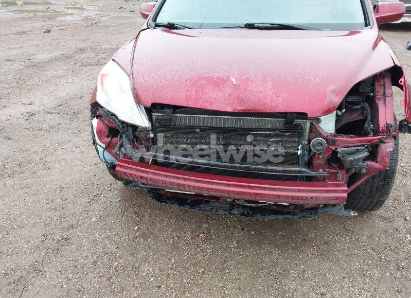 Photo 6 of 2009 Honda Cr-v EX-L (VIN 5J6RE48739L051421)