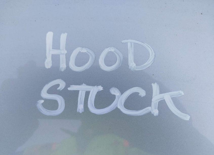 Photo 10 of 2009 Honda Cr-v EX-L (VIN 5J6RE48739L068056)