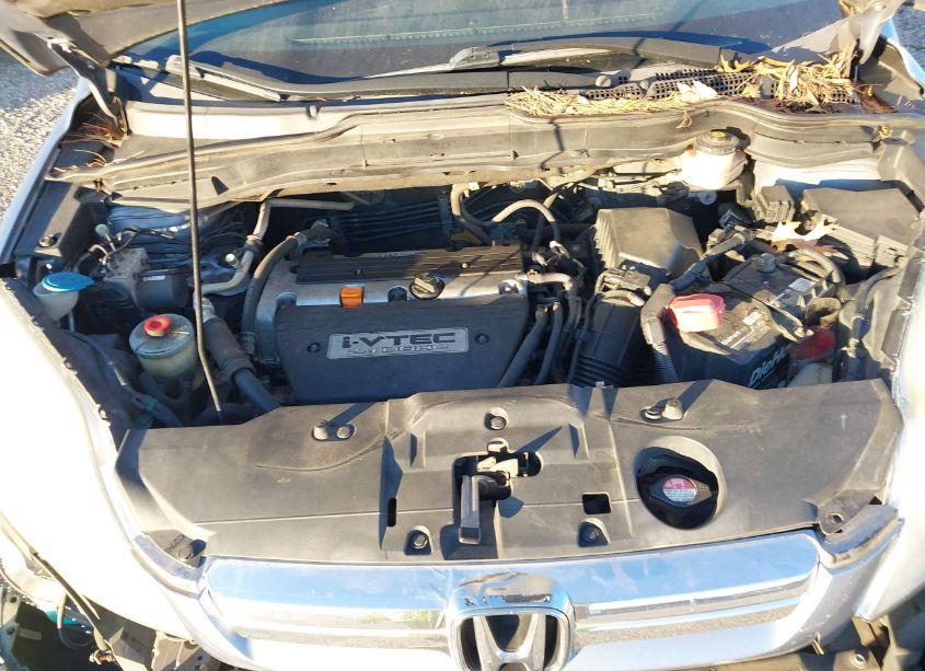 Photo 10 of 2007 Honda Cr-v EX-L (VIN 5J6RE48747L001298)