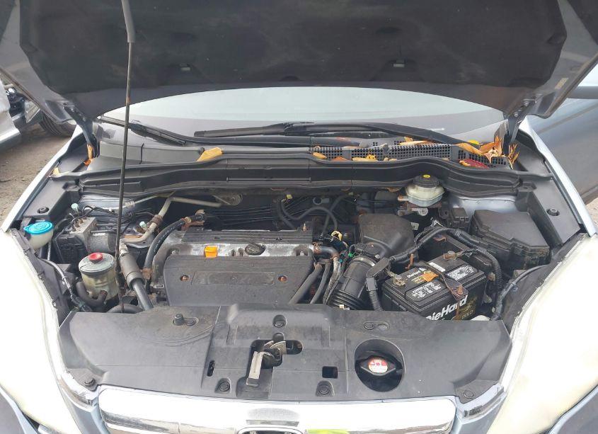 Photo 10 of 2007 Honda Cr-v EX-L (VIN 5J6RE48757L005750)