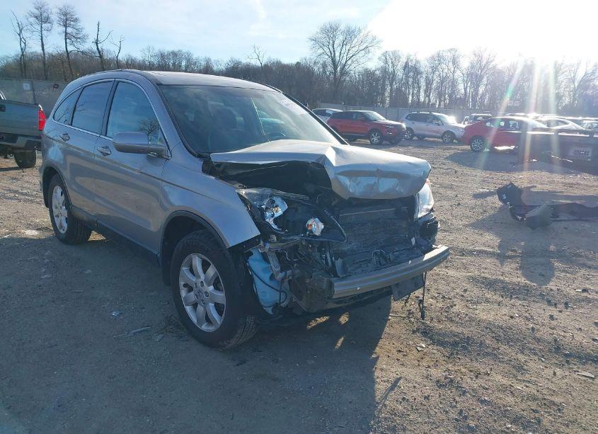 2007 Honda Cr-v EX-L (VIN 5J6RE48757L008938) main photo