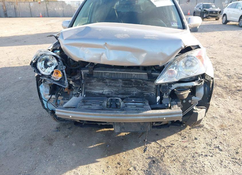 Photo 6 of 2007 Honda Cr-v EX-L (VIN 5J6RE48757L008938)