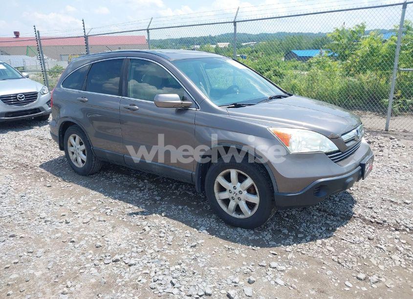 2009 Honda Cr-v EX-L (VIN 5J6RE48759L015150) main photo
