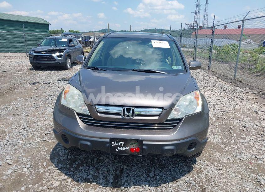 Photo 12 of 2009 Honda Cr-v EX-L (VIN 5J6RE48759L015150)