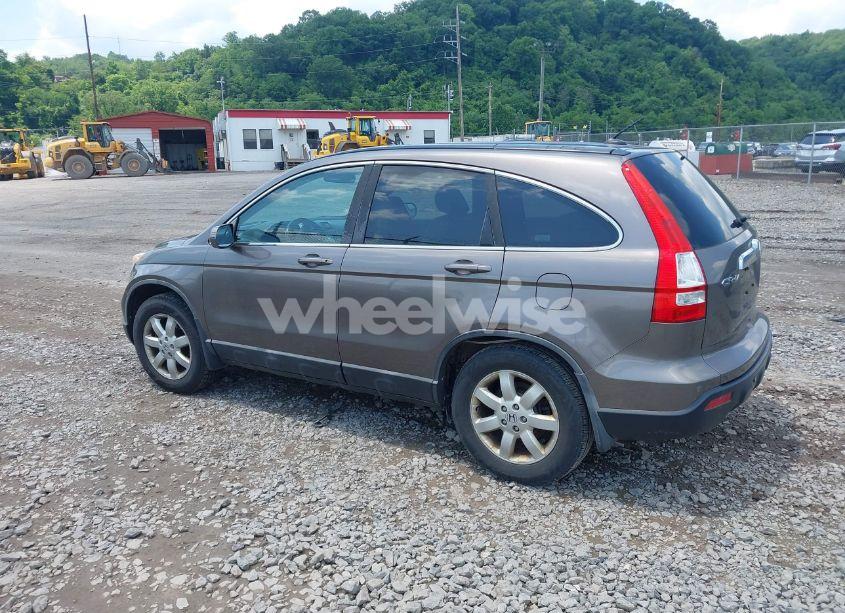 Photo 14 of 2009 Honda Cr-v EX-L (VIN 5J6RE48759L015150)