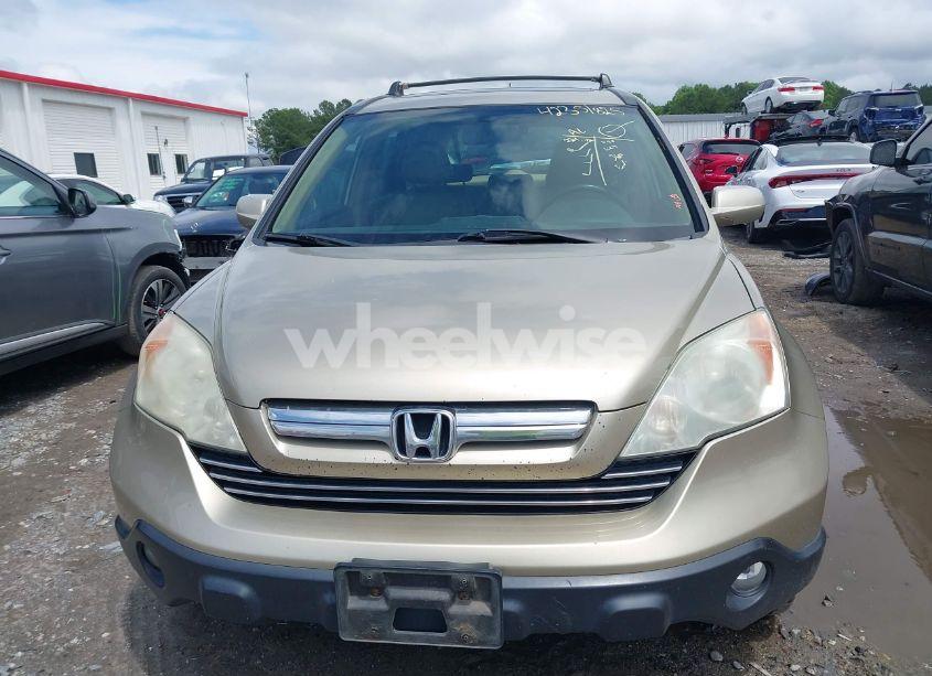 Photo 12 of 2009 Honda Cr-v EX-L (VIN 5J6RE48759L039576)