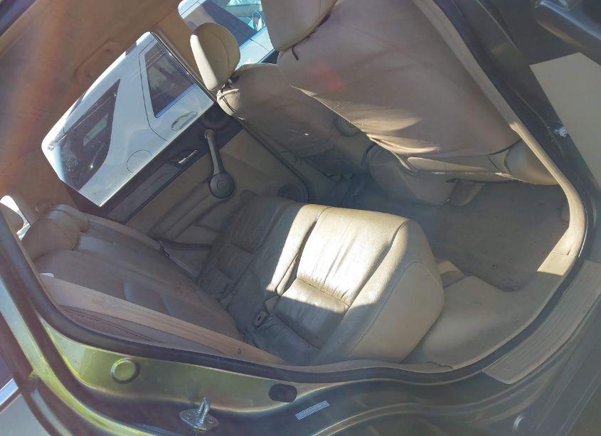 Photo 8 of 2008 Honda Cr-v EX-L (VIN 5J6RE48768L048706)