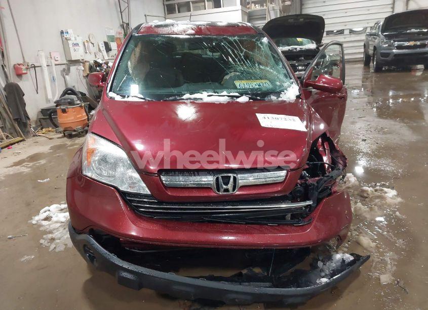 Photo 13 of 2009 Honda Cr-v EX-L (VIN 5J6RE48769L019160)