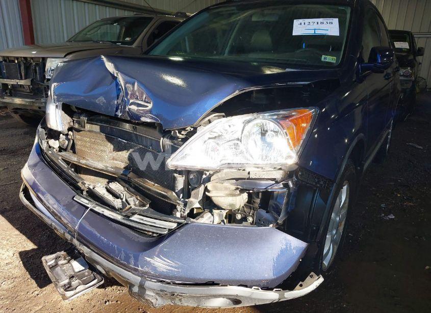 Photo 6 of 2008 Honda Cr-v EX-L (VIN 5J6RE48778L010921)