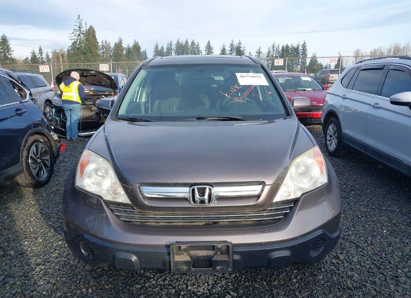 Photo 12 of 2009 Honda Cr-v EX-L (VIN 5J6RE48779L034573)