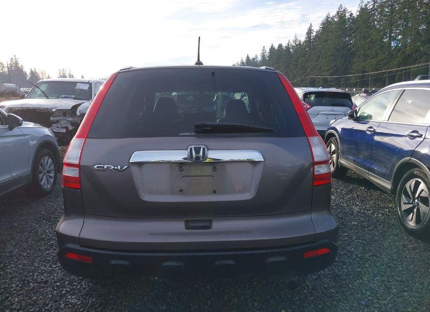 Photo 16 of 2009 Honda Cr-v EX-L (VIN 5J6RE48779L034573)