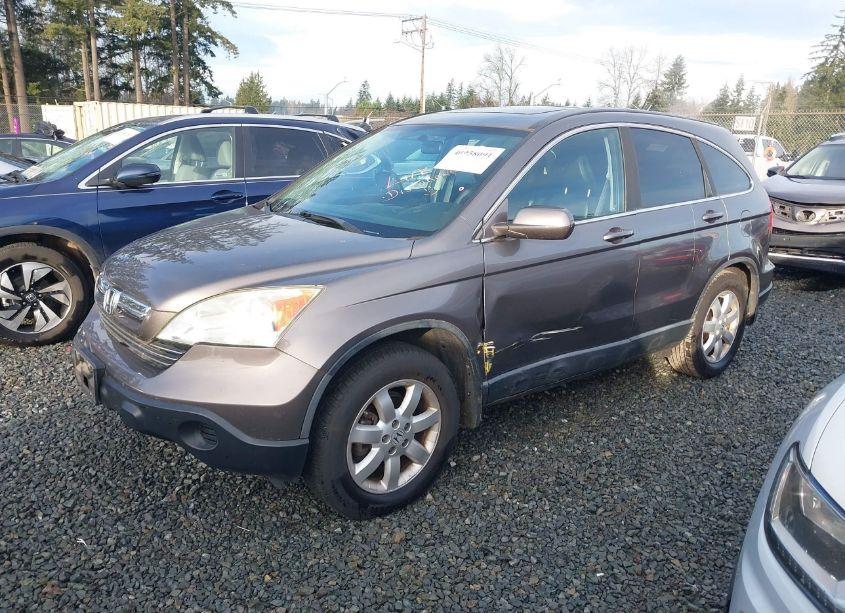 Photo 2 of 2009 Honda Cr-v EX-L (VIN 5J6RE48779L034573)
