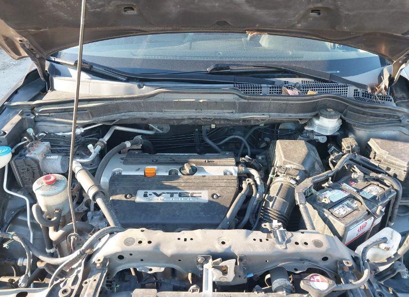 Photo 10 of 2009 Honda Cr-v EX-L (VIN 5J6RE48779L050983)