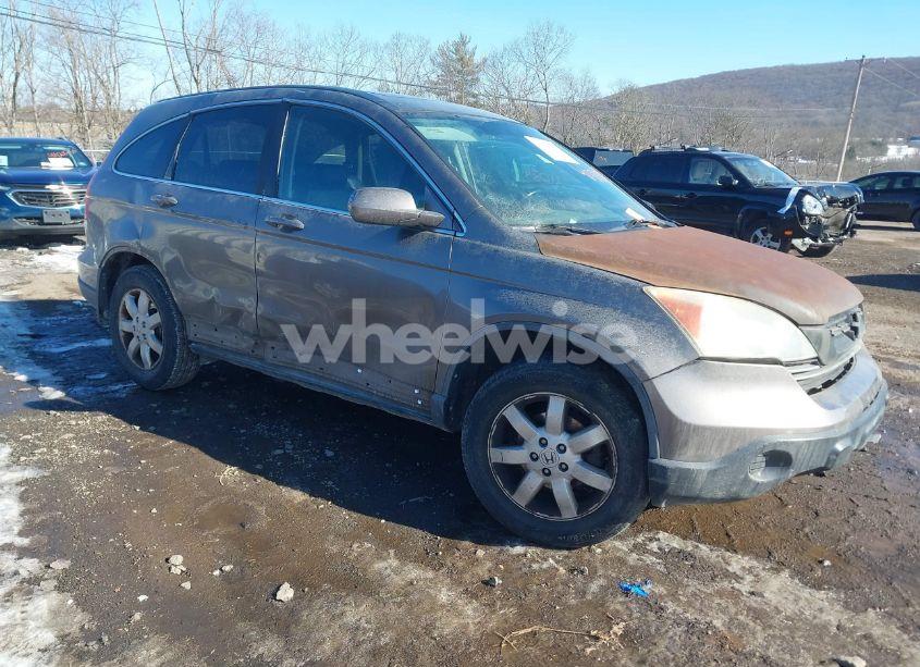 2009 Honda Cr-v EX-L (VIN 5J6RE48779L056038) main photo
