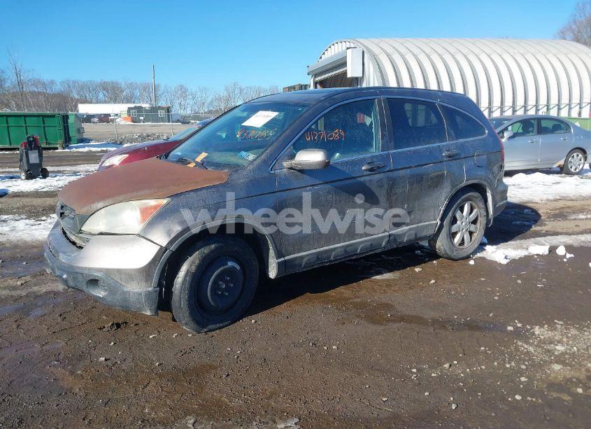 Photo 2 of 2009 Honda Cr-v EX-L (VIN 5J6RE48779L056038)