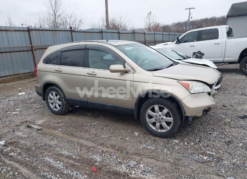 Photo 13 of 2008 Honda Cr-v EX-L (VIN 5J6RE48788L047847)