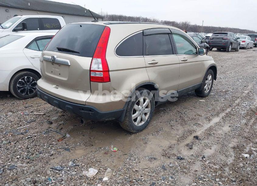 Photo 4 of 2008 Honda Cr-v EX-L (VIN 5J6RE48788L047847)