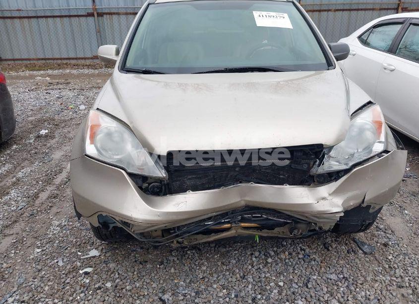 Photo 6 of 2008 Honda Cr-v EX-L (VIN 5J6RE48788L047847)