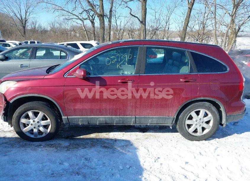 Photo 14 of 2009 Honda Cr-v EX-L (VIN 5J6RE48789L027390)