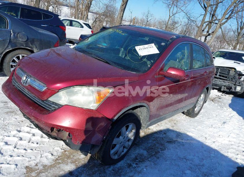 Photo 2 of 2009 Honda Cr-v EX-L (VIN 5J6RE48789L027390)