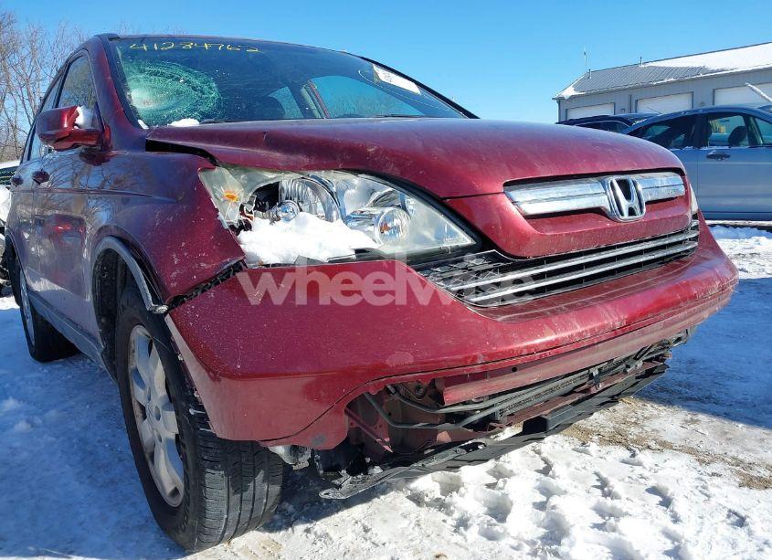 Photo 6 of 2009 Honda Cr-v EX-L (VIN 5J6RE48789L027390)