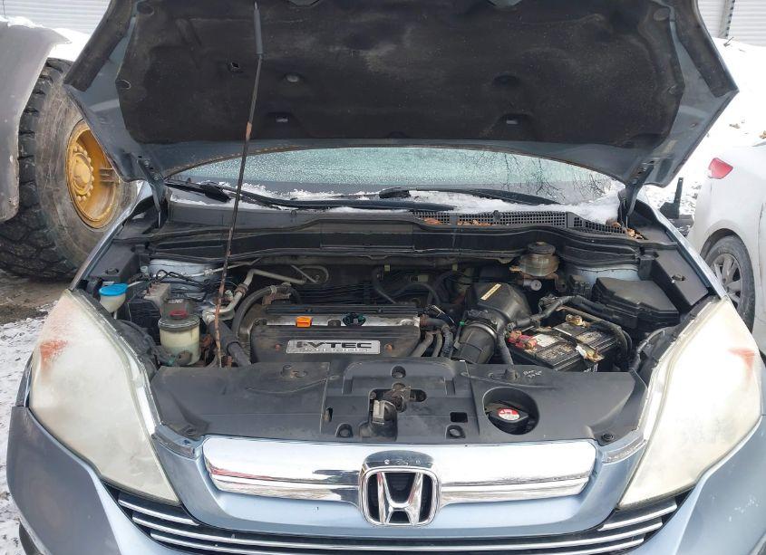 Photo 10 of 2009 Honda Cr-v EX-L (VIN 5J6RE48789L059997)