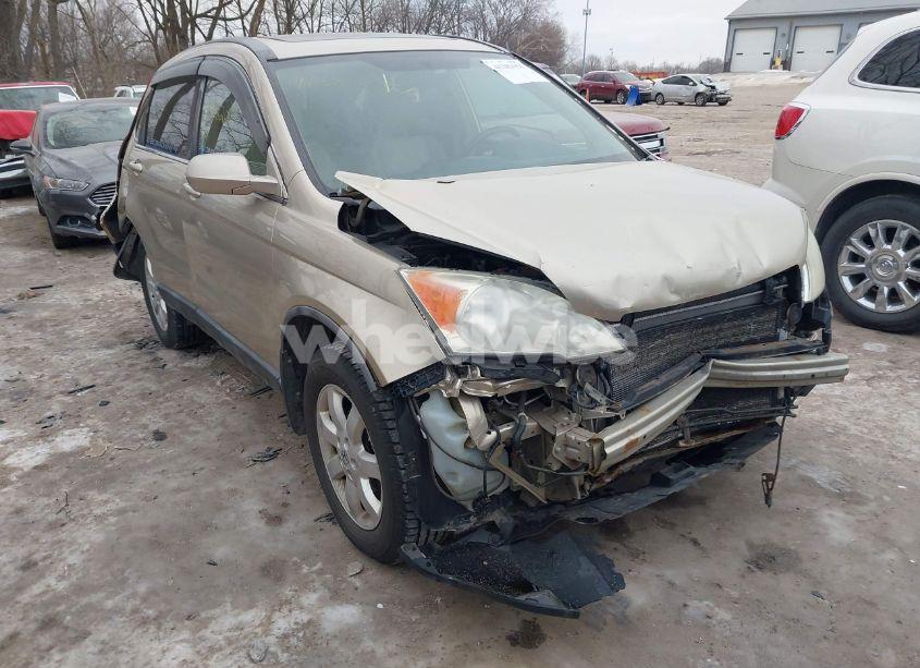 2008 Honda Cr-v EX-L (VIN 5J6RE48798L021418) main photo