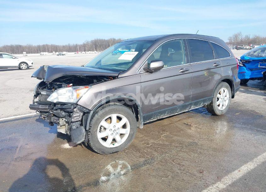 Photo 2 of 2009 Honda Cr-v EX-L (VIN 5J6RE48799L009285)