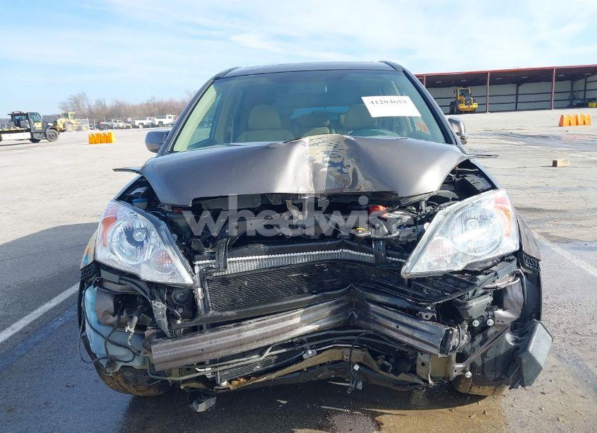 Photo 6 of 2009 Honda Cr-v EX-L (VIN 5J6RE48799L009285)