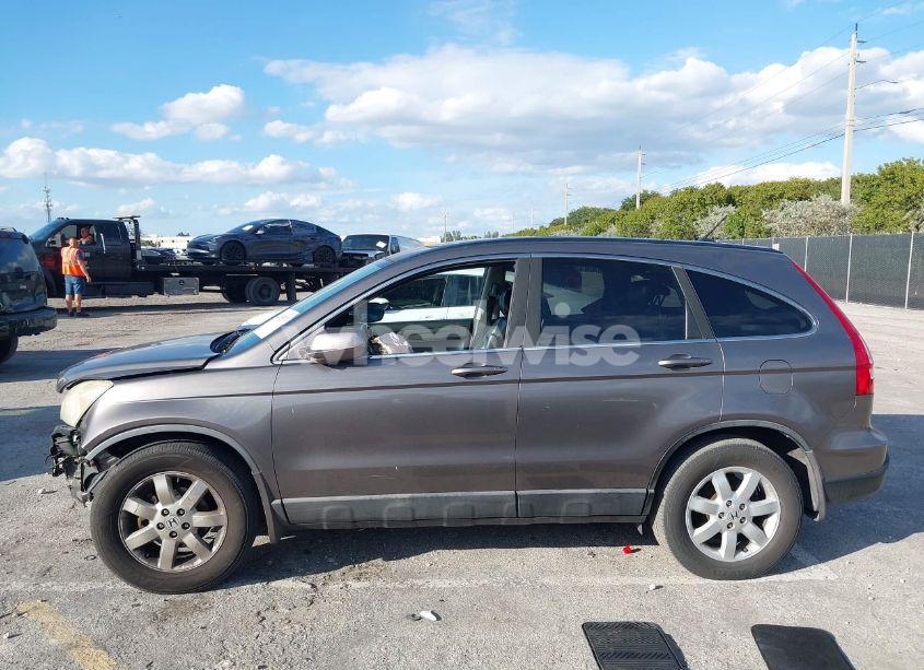 Photo 14 of 2009 Honda Cr-v EX-L (VIN 5J6RE48799L027897)