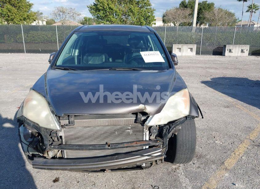 Photo 6 of 2009 Honda Cr-v EX-L (VIN 5J6RE48799L027897)