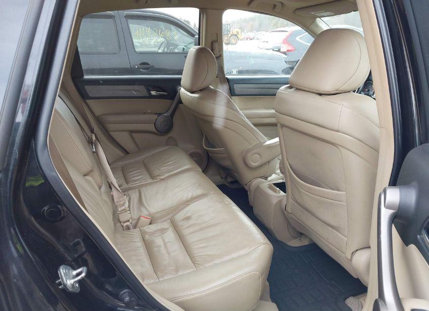 Photo 8 of 2009 Honda Cr-v EX-L (VIN 5J6RE48799L044148)