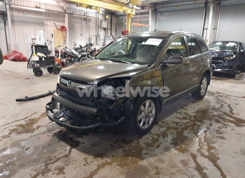 2009 Honda Cr-v EX-L (VIN 5J6RE48799L048829) main photo