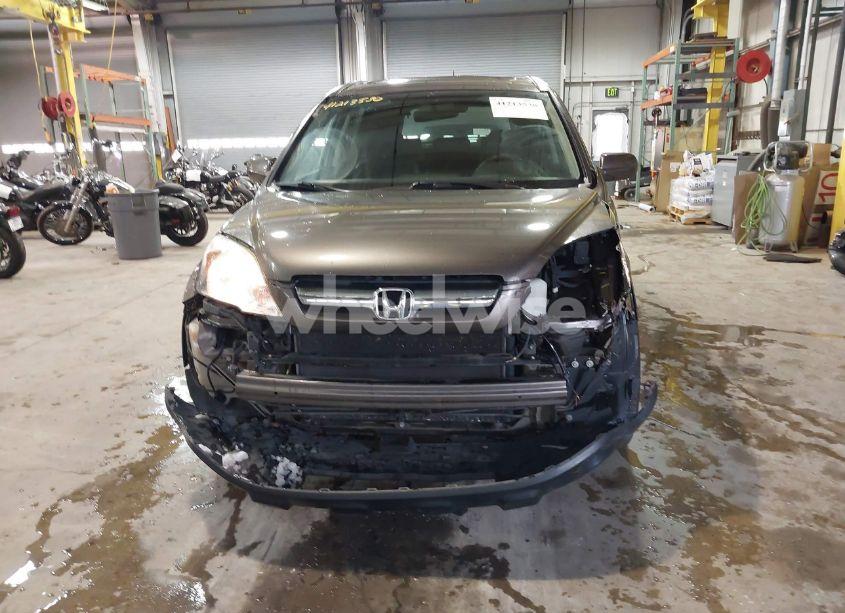 Photo 11 of 2009 Honda Cr-v EX-L (VIN 5J6RE48799L048829)
