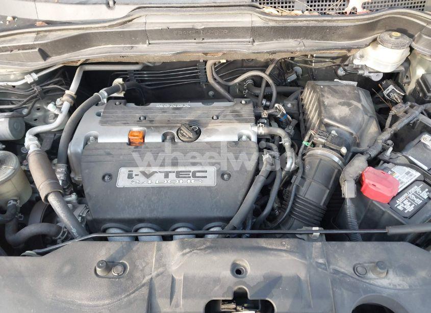 Photo 10 of 2007 Honda Cr-v EX-L (VIN 5J6RE487X7L010300)