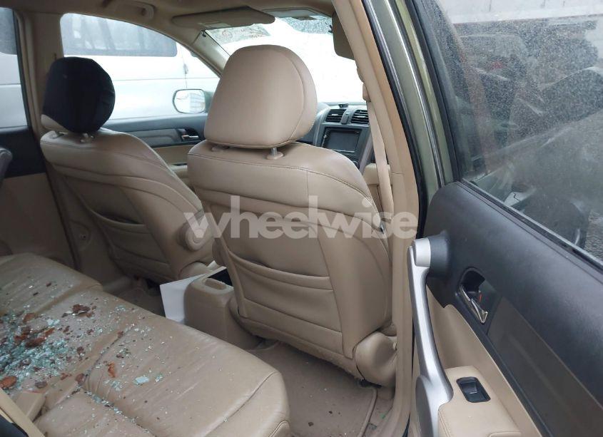 Photo 8 of 2007 Honda Cr-v EX-L (VIN 5J6RE487X7L010300)