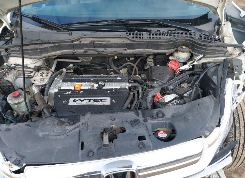 Photo 10 of 2007 Honda Cr-v EX-L (VIN 5J6RE487X7L019000)