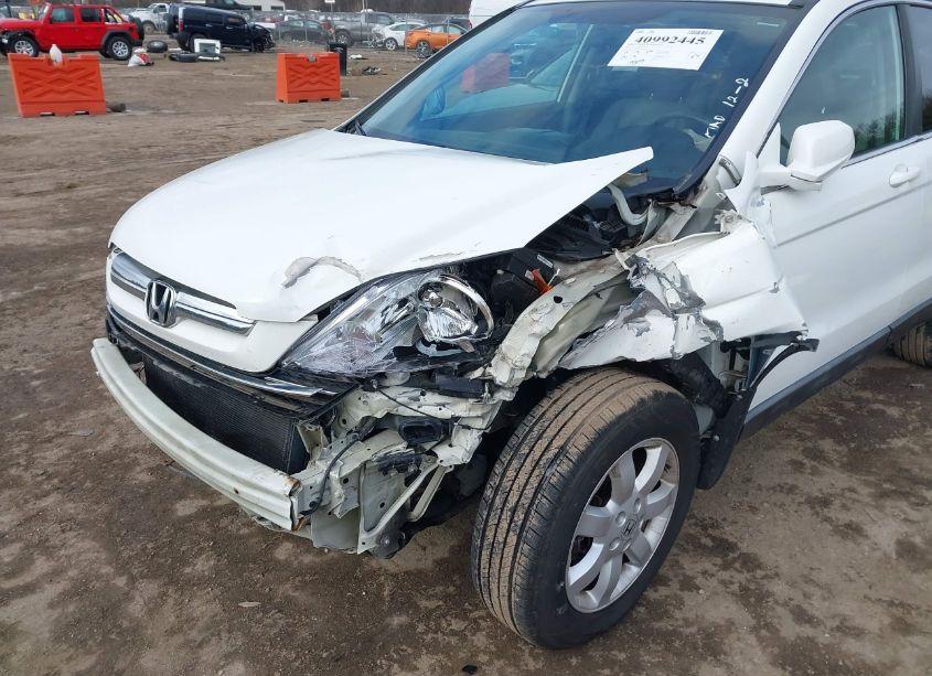 Photo 6 of 2007 Honda Cr-v EX-L (VIN 5J6RE487X7L019000)