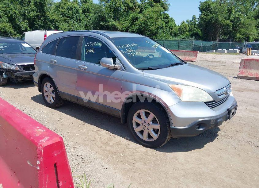 2008 Honda Cr-v EX-L (VIN 5J6RE487X8L009634) main photo