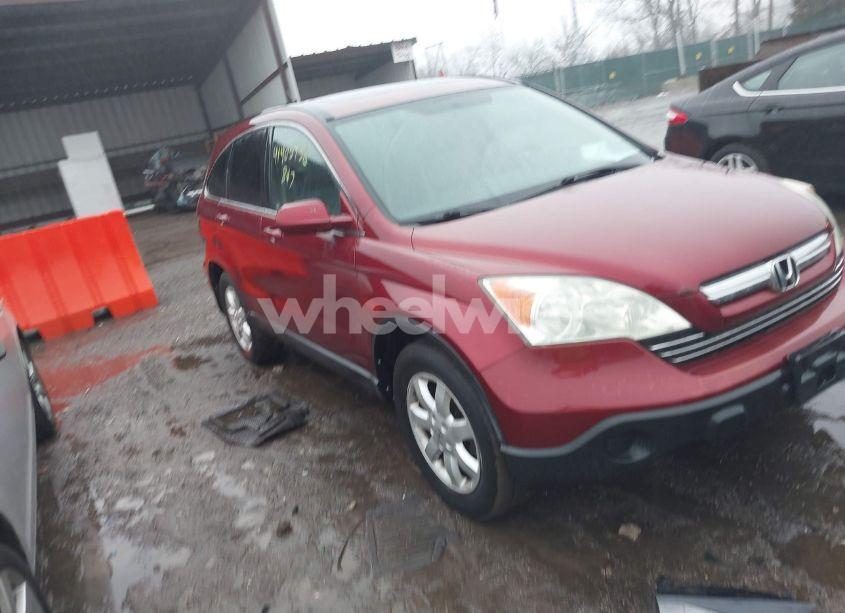 2008 Honda Cr-v EX-L (VIN 5J6RE487X8L018284) main photo