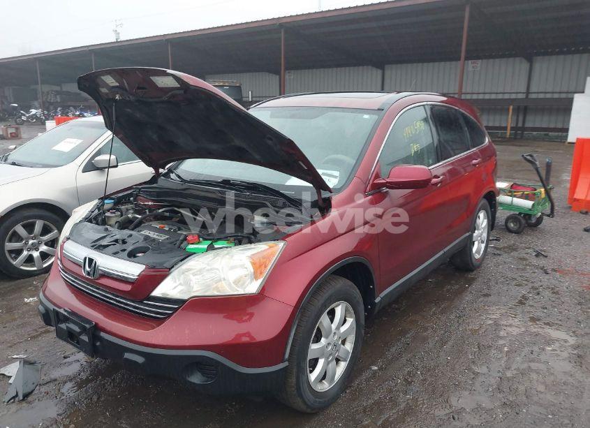 Photo 6 of 2008 Honda Cr-v EX-L (VIN 5J6RE487X8L018284)