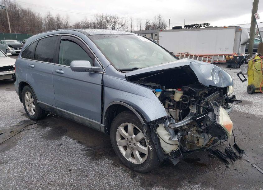 2008 Honda Cr-v EX-L (VIN 5J6RE487X8L018446) main photo