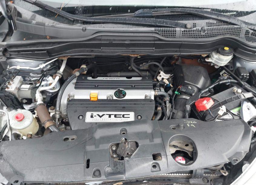 Photo 10 of 2008 Honda Cr-v EX-L (VIN 5J6RE487X8L018446)