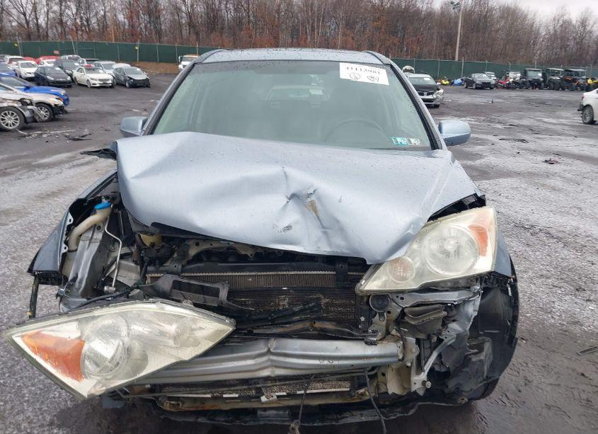 Photo 12 of 2008 Honda Cr-v EX-L (VIN 5J6RE487X8L018446)