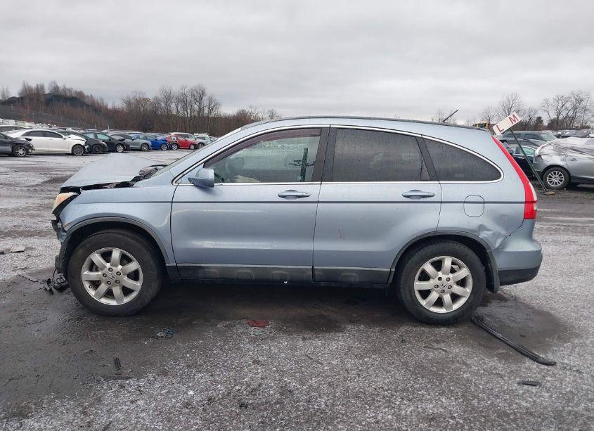 Photo 14 of 2008 Honda Cr-v EX-L (VIN 5J6RE487X8L018446)