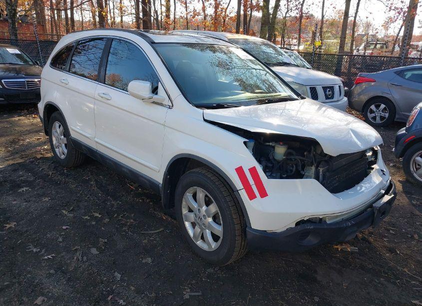 2009 Honda Cr-v EX-L (VIN 5J6RE487X9L003026) main photo