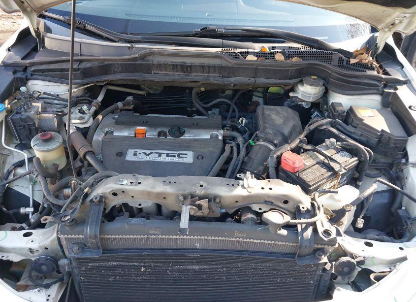 Photo 10 of 2009 Honda Cr-v EX-L (VIN 5J6RE487X9L003026)