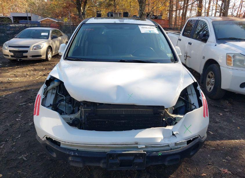 Photo 13 of 2009 Honda Cr-v EX-L (VIN 5J6RE487X9L003026)